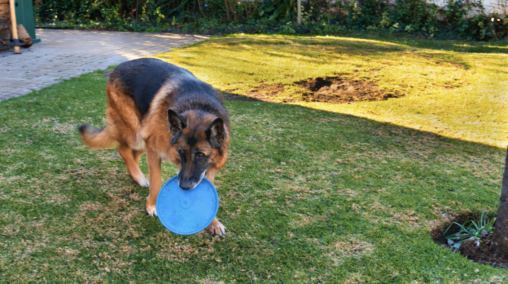 Screenshot 2025-11-22 at 1.55.53 PM