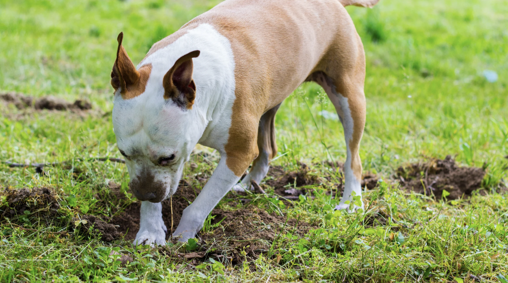 Screenshot 2025-11-22 at 1.56.04 PM